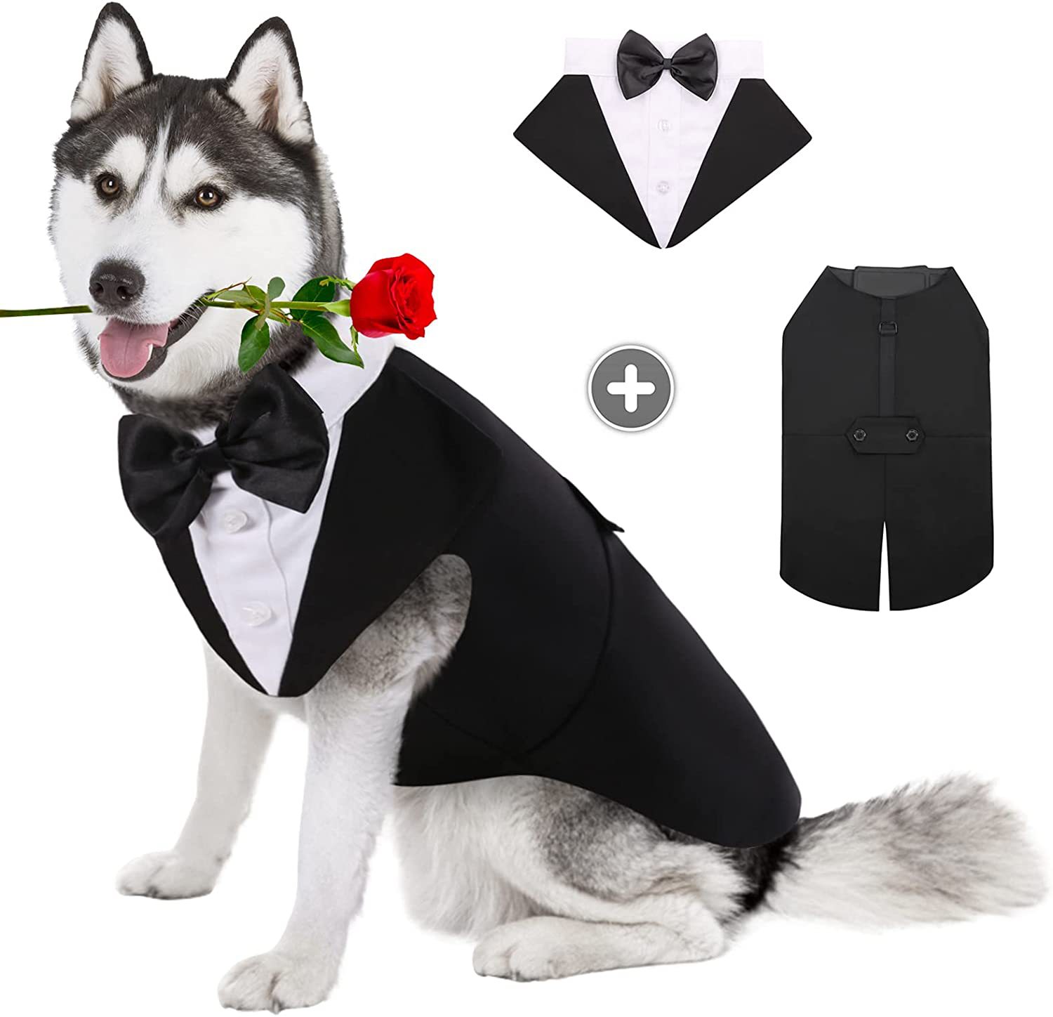 Suit Supply Wedding Party - Vêtements pour chiens de compagnie, spectacle