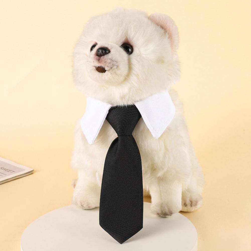 Cravate de cou de smoking pour - Suit Supply Wedding Party avis et prix