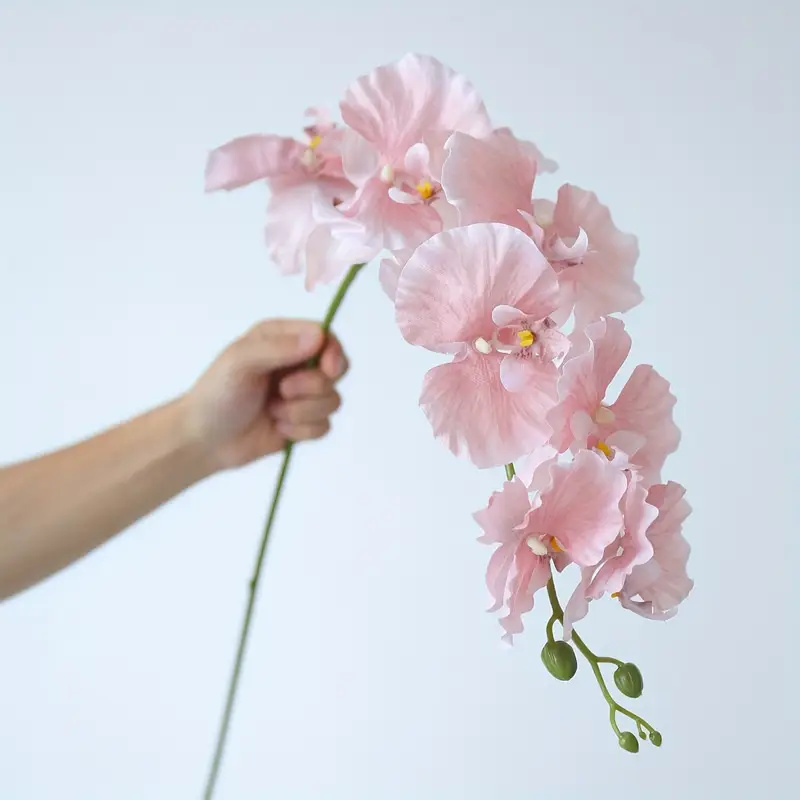 Longue branche papillon orchid - Wedding Arch Flower avis et prix