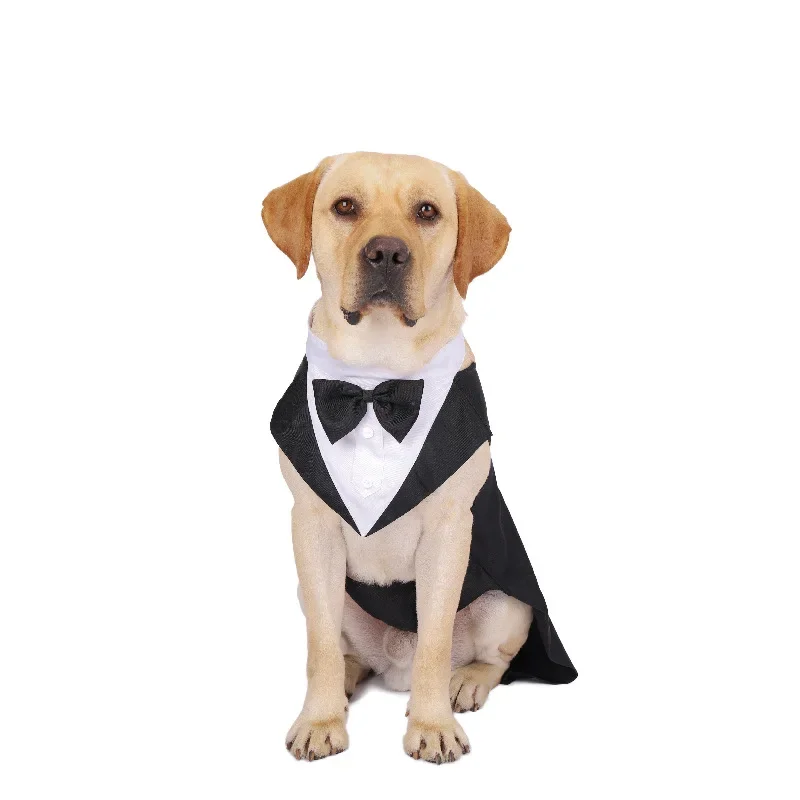 Vêtements pour chiens : Chemis - Suit Supply Wedding Party avis et prix