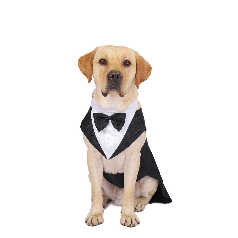 Vêtements pour chiens de compa - Suit Supply Wedding Party avis et prix