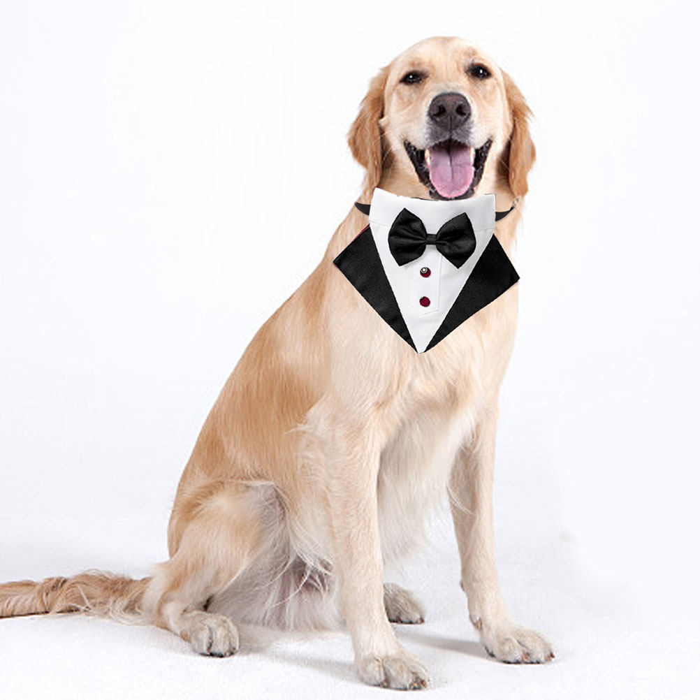 Ensemble Costume et Bandana po - Suit Supply Wedding Party avis et prix