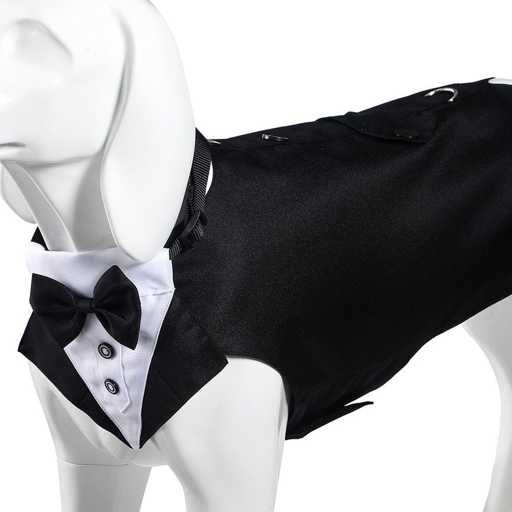 Ensemble Costume et Bandana po - Suit Supply Wedding Party avis et prix
