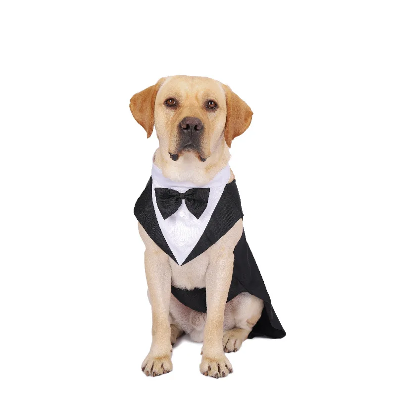 Vêtements pour chiens de compa - Suit Supply Wedding Party avis et prix