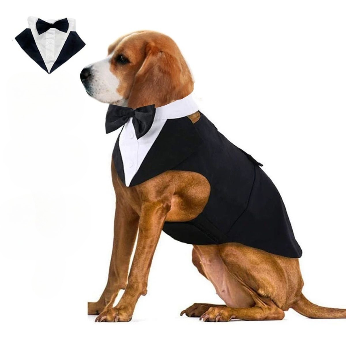 Vêtements pour chiens : Costum - Suit Supply Wedding Party avis et prix